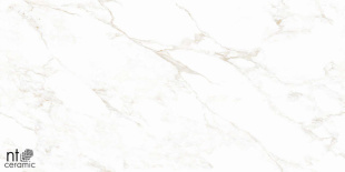 Керамогранит NT Ceramic Marmo Marble Extra Endless Mat арт. NTT99526M (60x120) матовый